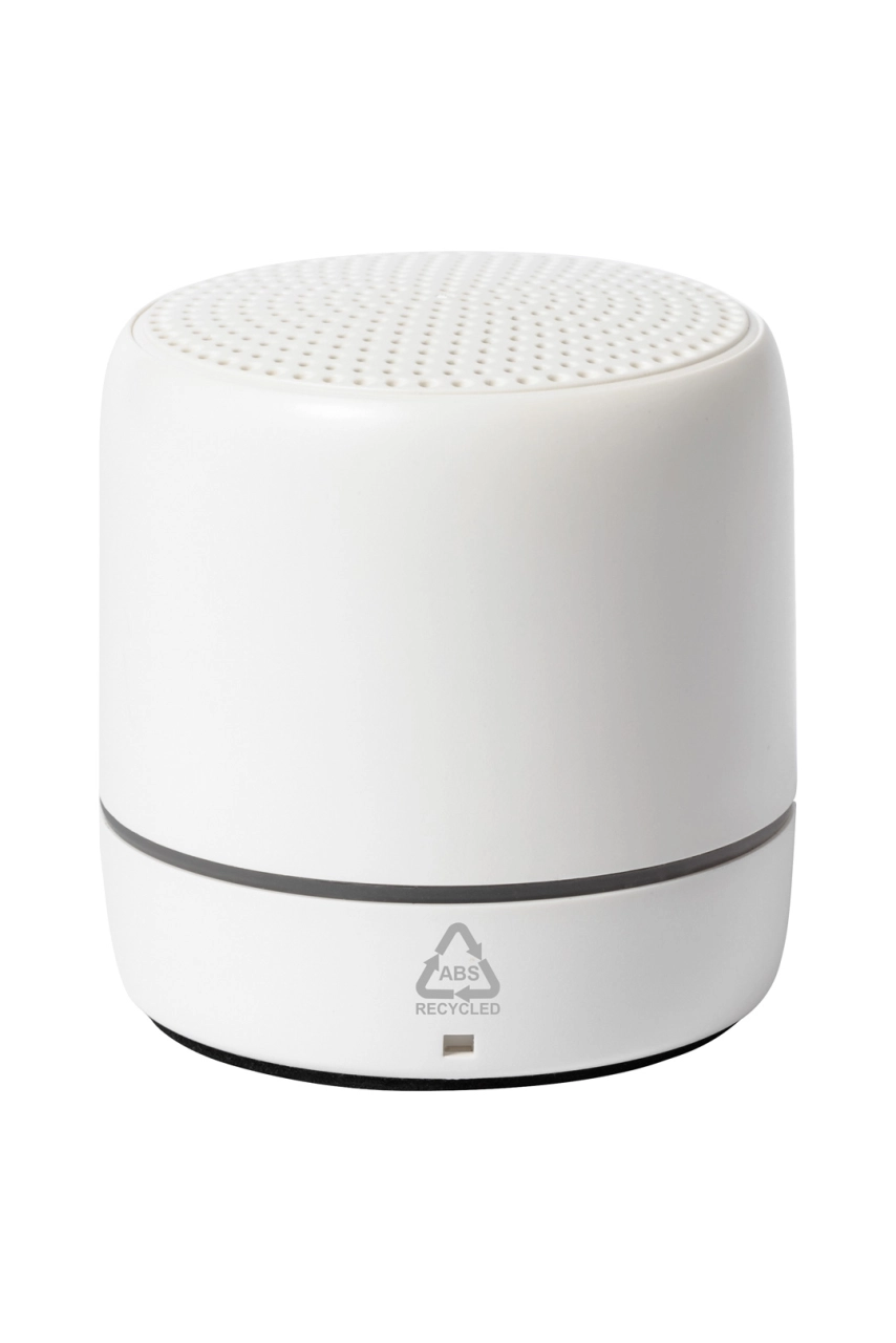 enceinte bluetooth RABS