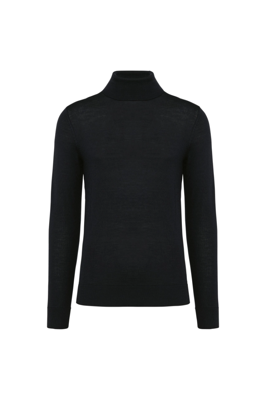 Pull Mérinos col roulé homme